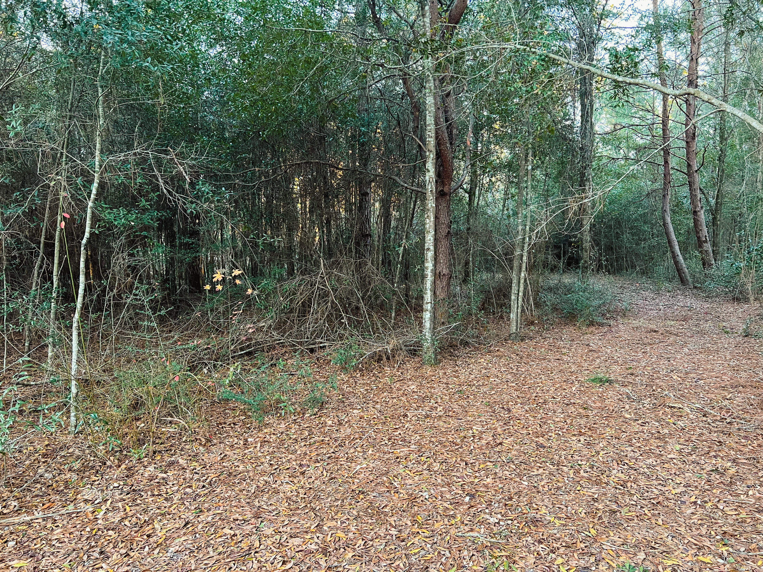 NORTH SUPERGROUP - Land