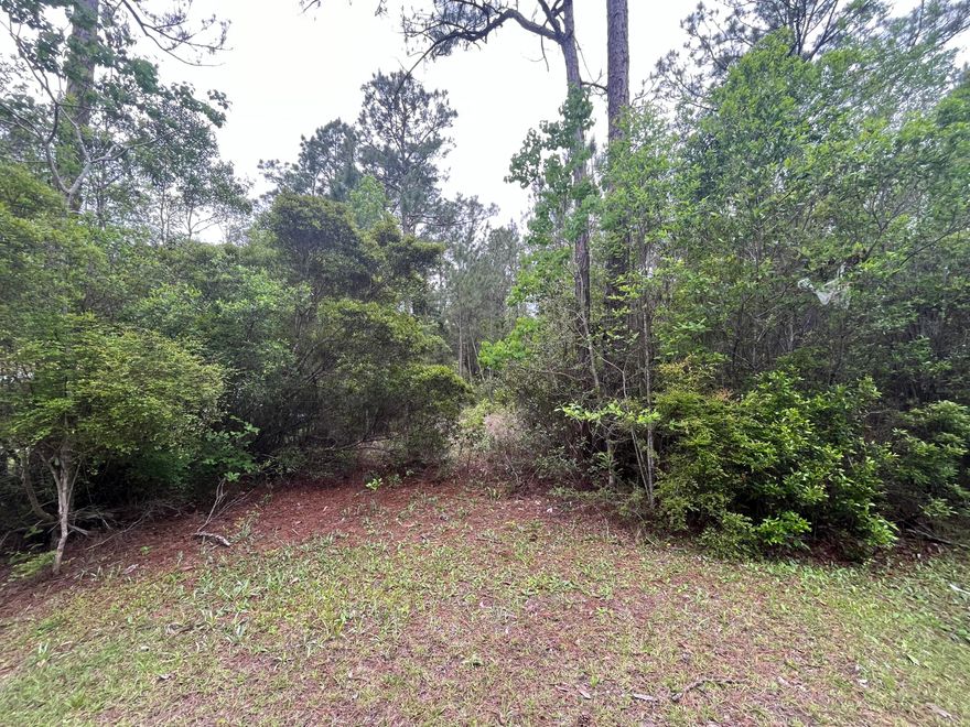Great opportunity to own this half acre lot in Creekside. Conveniently located to the Shops at Publix Freeport. Community has a dock on Black Creek. Approx. a 20 minute  drive to the beautiful Gulf beaches!