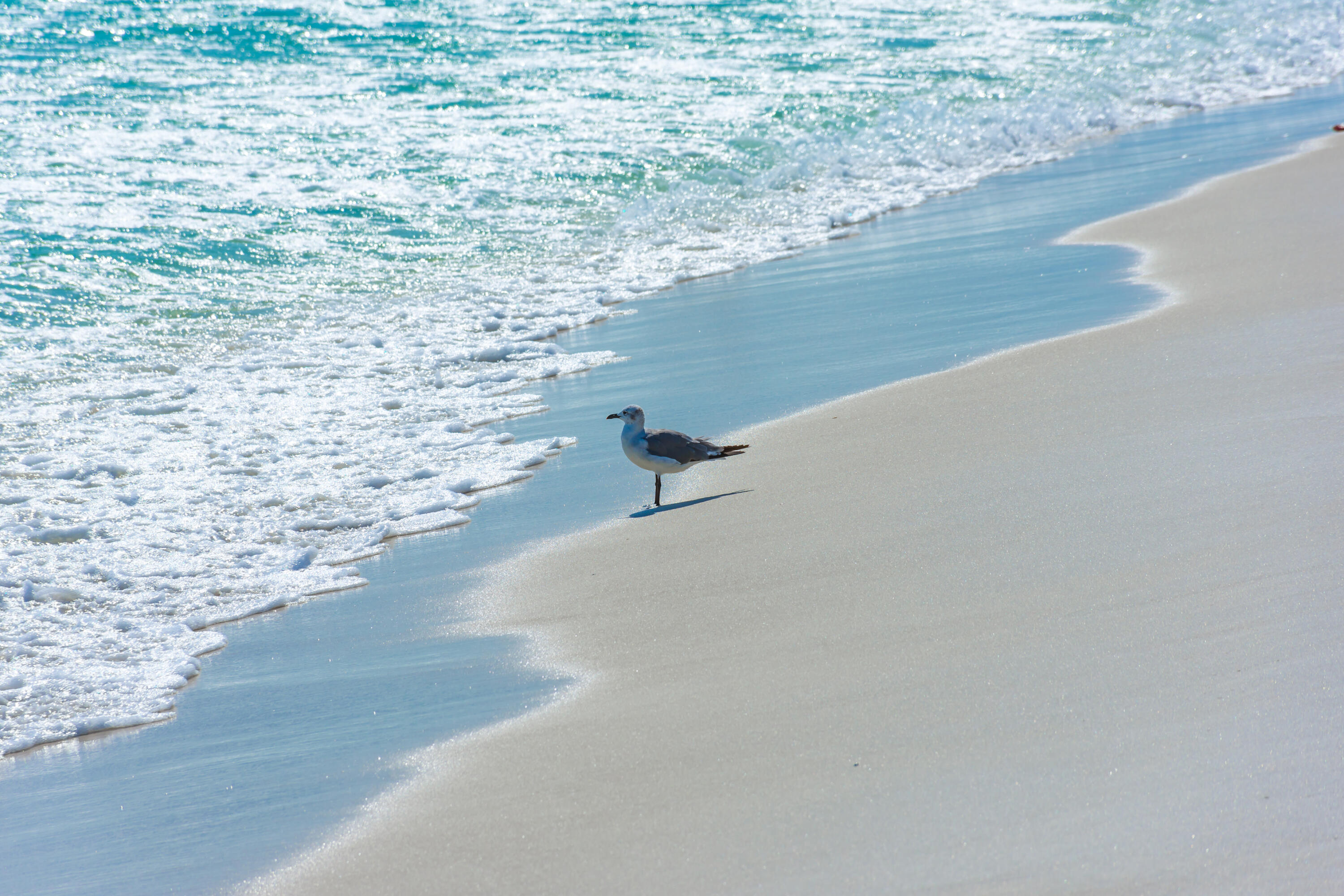 LASATA - Residential