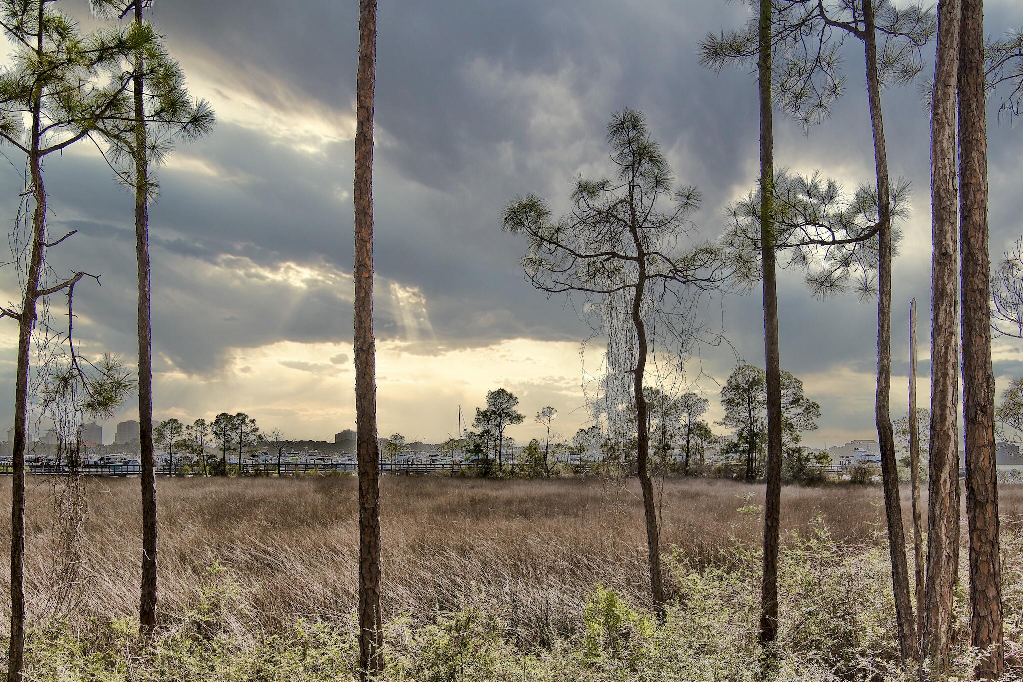 LASATA - Residential