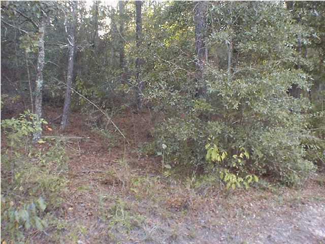 4.2 Acres; Full of magnolia and hard wood trees. Only 35 miles away from the Beaches of South Walton and Destin, yet a WORLD away in atmosphere!!!! It feels like you on a mountain lake! Unbelievable! Spring Lake Estates is one of the few subdivisions in the area that is restricted, no mobile homes and no rentals. People are scrambling to get a 4 acre parcel in this subdivision. Private and peaceful; Upscale homes that show pride of ownership; resident deer and eagle are entertaining; Great 150 acre ; Common area includes approx. 3 acrelake; common areas with boat launch, gazebo, restrooms, is gated and private for homeowners only; and a great place to have fun; Lot backs up to Strickland's Christmas Tree Farm! City water available.