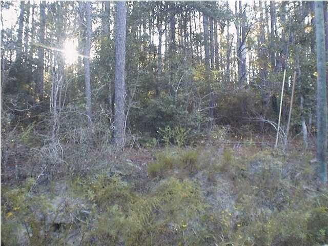 SPRING LAKE ESTATES - Land