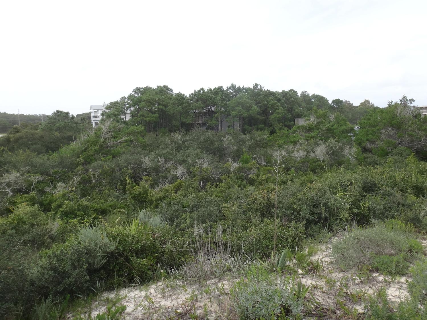 THREE LOTS! Beach Highlands, large wooded lots with probable gulfviews. Easy beach access, close to school, restaurants and State Parks. No build-out times, no HOA. Seller is Licensed Florida Real Estate Broker. ***Buyer is responsible for personally verifying details about this property. Any information contained in this listing is believed to be accurate but is not guaranteed.***