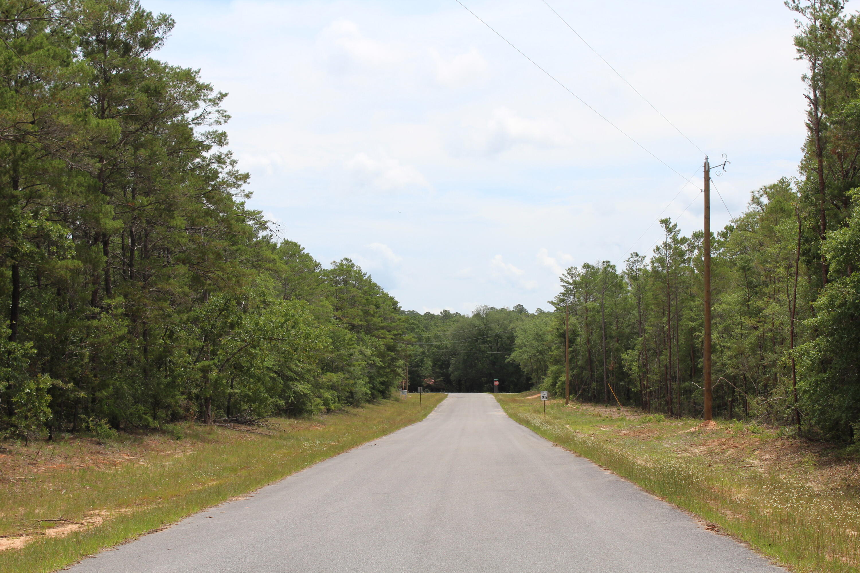 Wildwood Lakes III - 29 lots for sale. Located Walton County Florida, just outside of Defuniak Springs that was voted 'best small town in the state of Florida. Shovel ready. Covenants & restrictions in place. One acre wooded lots. Chelco Electric. Well & septic required.Sale is contingent on seller transferring ownership and management of the HOA to the new buyer at closing. HOA dues currently $250.00 per year.