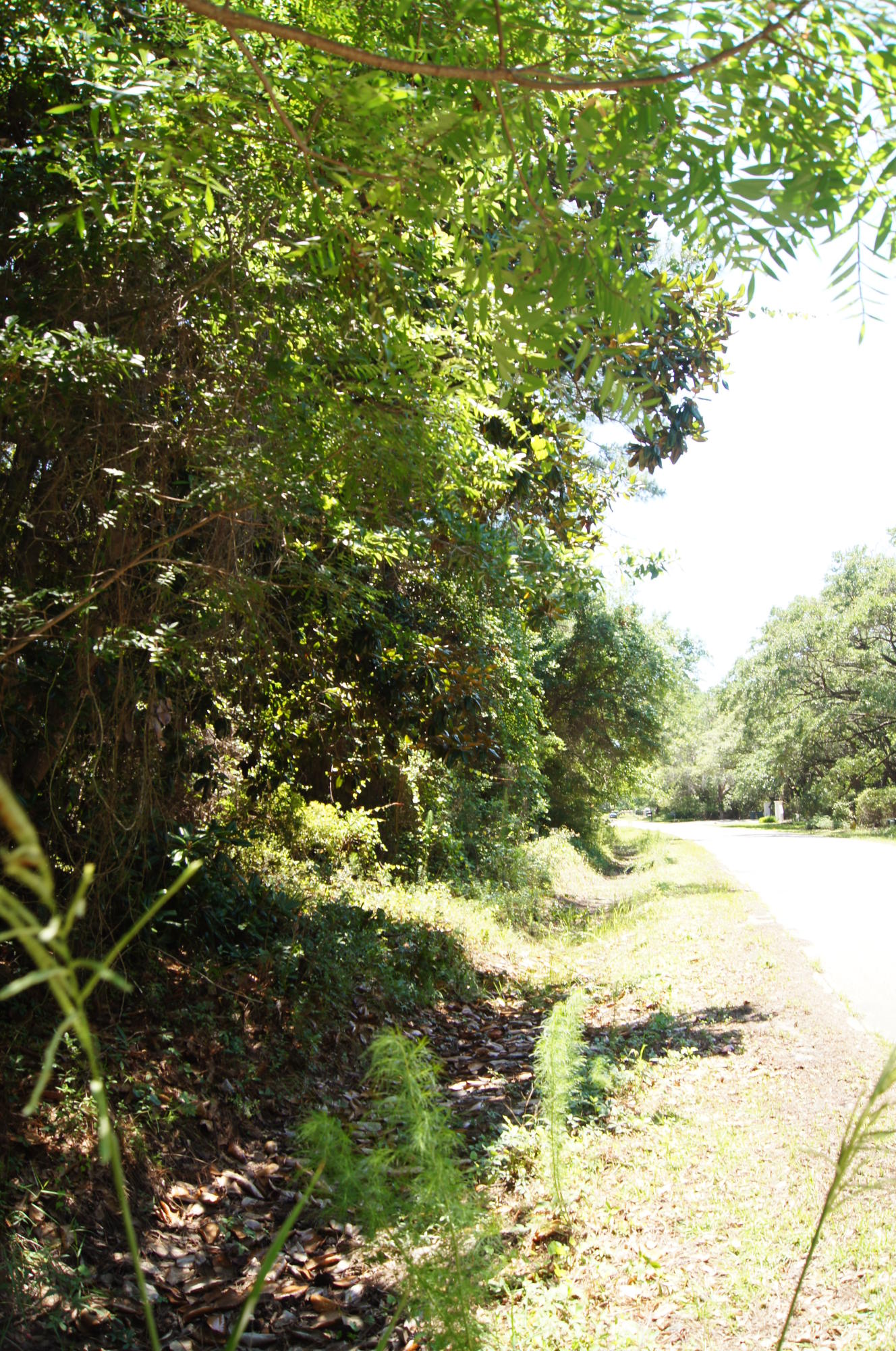 DRIFTWOOD ESTATES - Land