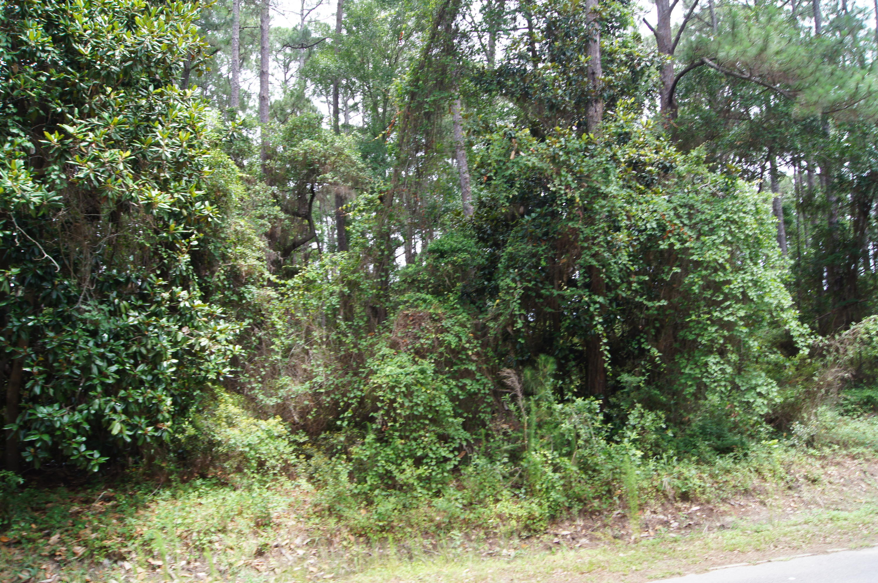 DRIFTWOOD ESTATES - Land