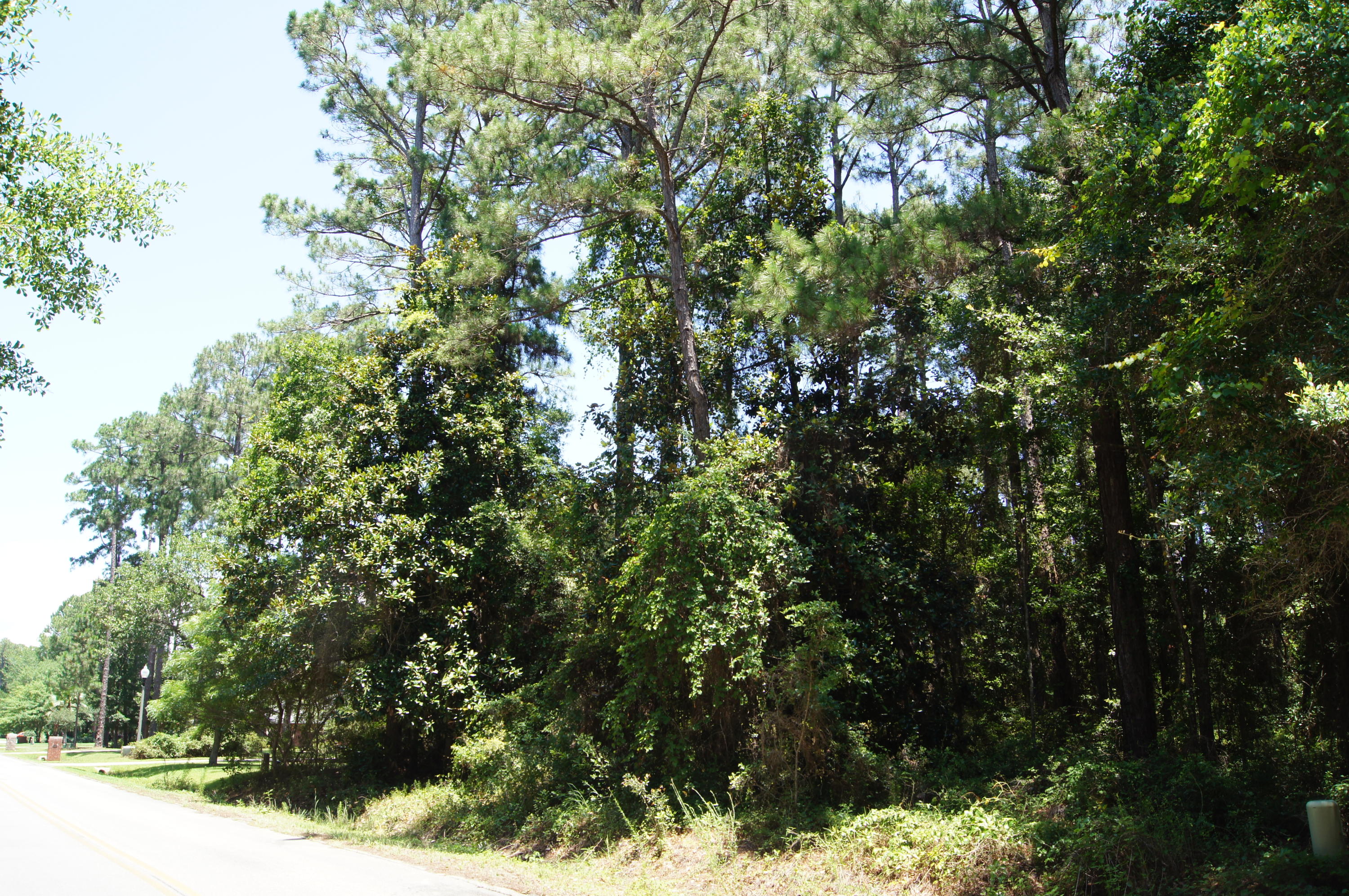 DRIFTWOOD ESTATES - Land