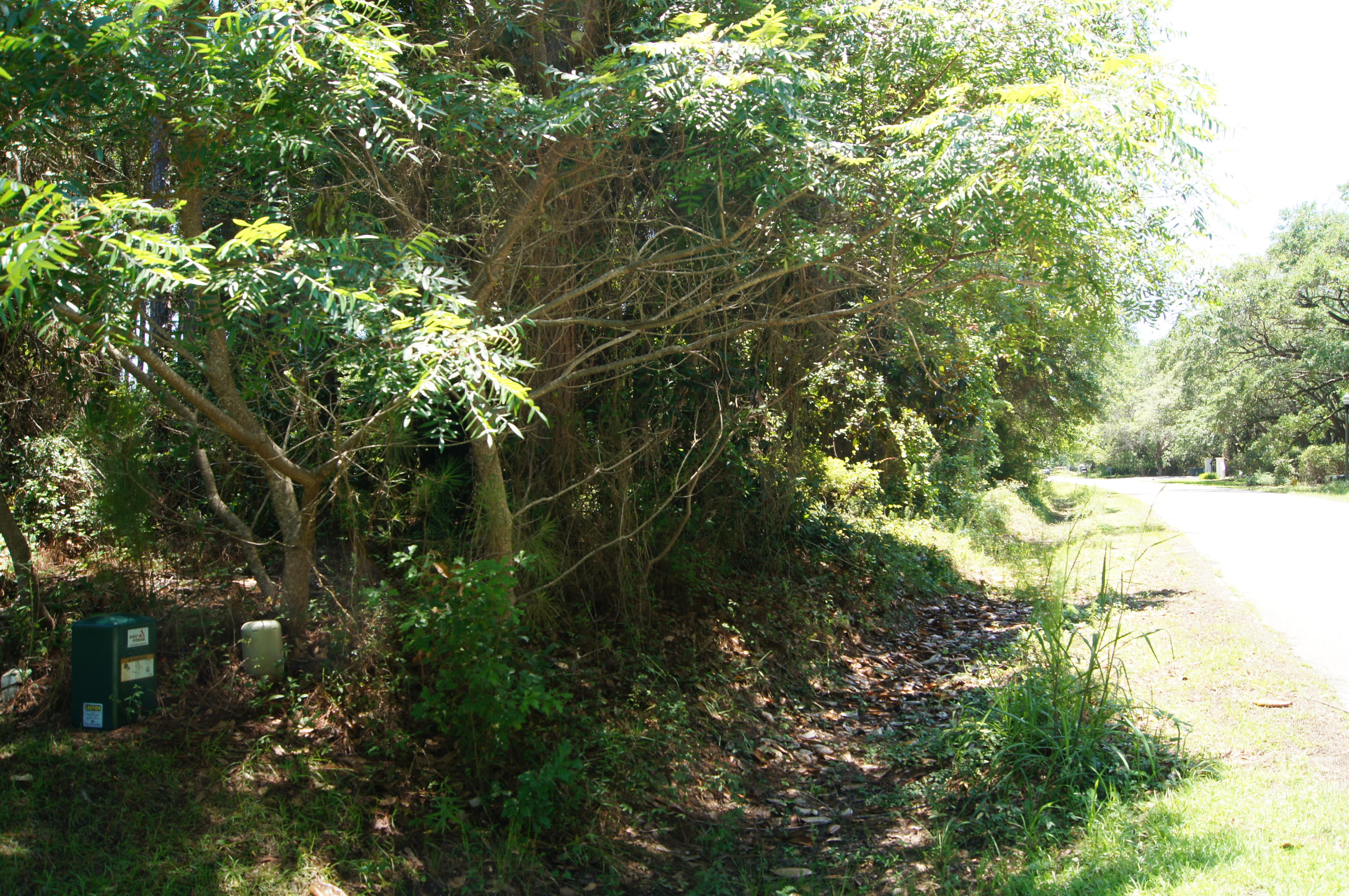 DRIFTWOOD ESTATES - Land