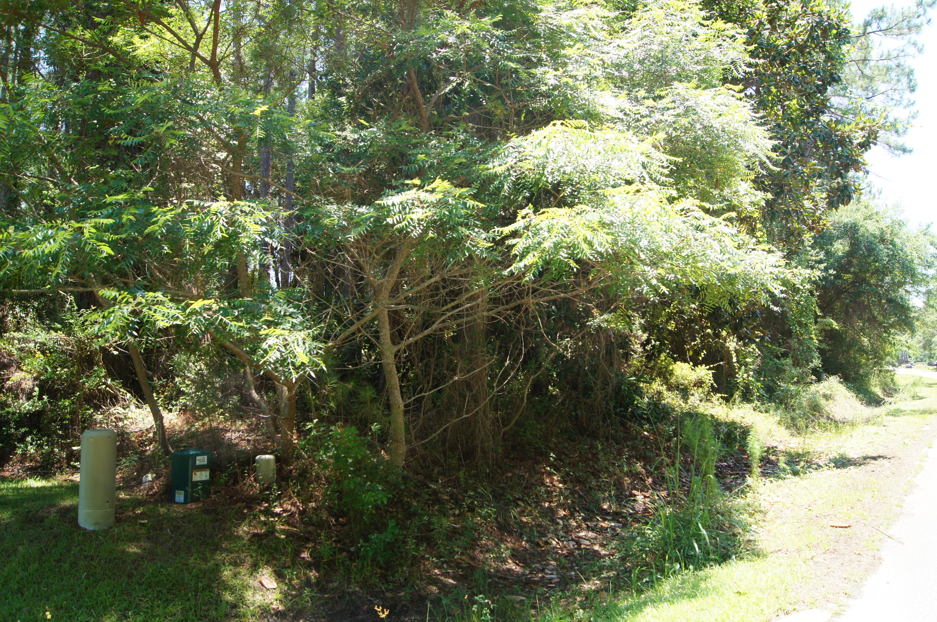 DRIFTWOOD ESTATES - Land