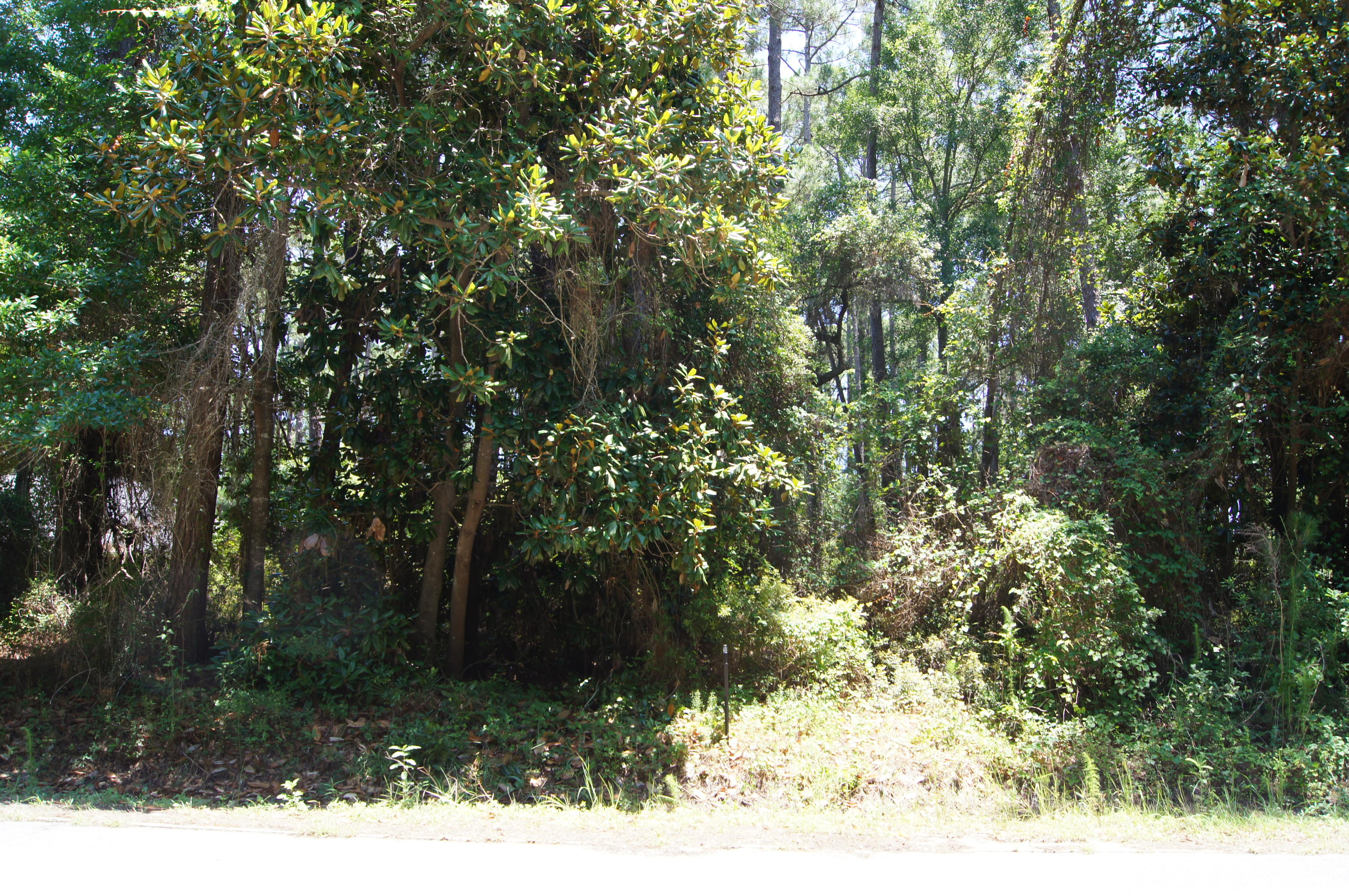 DRIFTWOOD ESTATES - Land