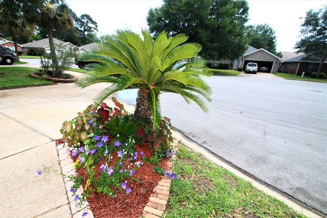 WHITROCK VILLAGE S/D - Residential