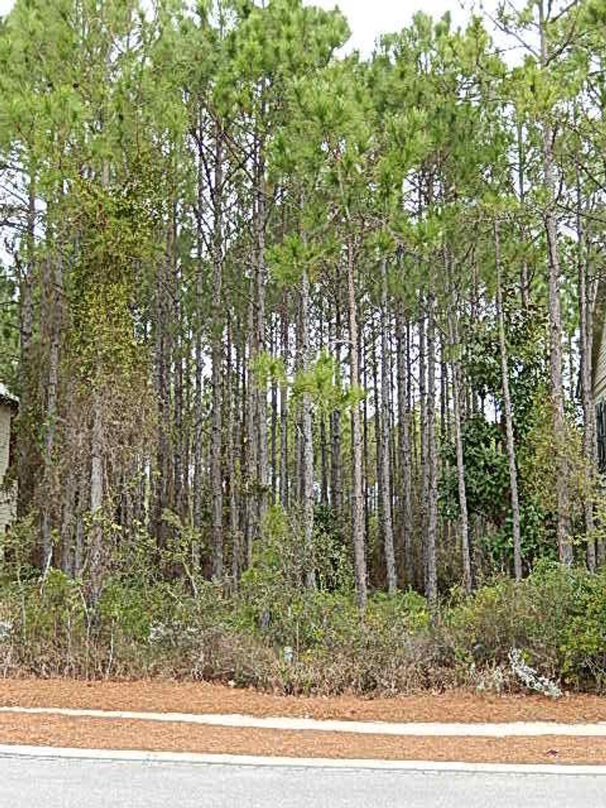 Rare opportunity to build your dream vacation home in Phase II of WaterColor. Home site is the only vacant lot located on Crossvine Circle and is one of only a few lots still available to purchase in the Camp District of WaterColor. Beautiful wooded lot with a private preserve back yard and a lovely manicured park in front. This home site allows for a 2-1/2 story home to be built which will give you room for a lot of square footage, pool and carport/garage. Home site is located within a block of Camp WaterColor, exit to Hwy. 395 and the Crossings Shopping Center. Don't miss this opportunity to build your dream vacation home with your own plans and selections. Come be a part of the WaterColor Community with its' Beach Club, Camp, Tennis, retail and resturants.