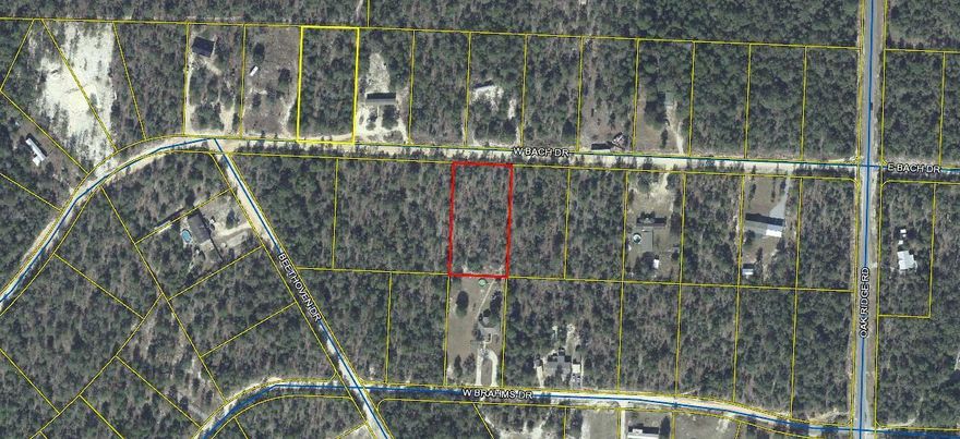 1 acre perfect for building your new house or manufactured home. Just 5 minutes from shopping in DeFuniak Springs and 35 minutes to the Beaches of South Walton. Buyer must verify all measurements.