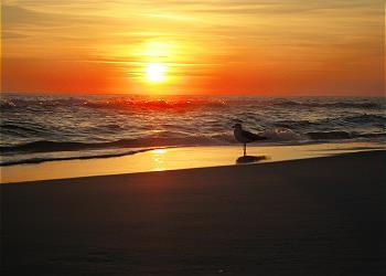 GRAND SANDESTIN THE - Residential