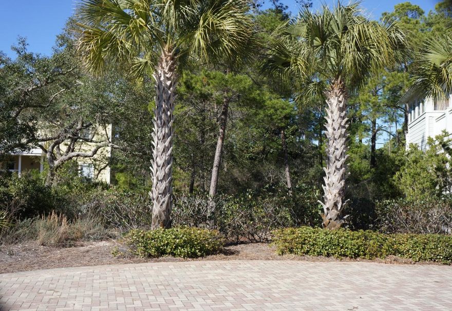 Nice cul-de-sac lot in this quiet community south of 30A. The Cottages give a unique feel of serenity and privacy while being a short distance to all that life on 30A has to offer. Build your dream home here with the beach only a short walk away. Bike to the hotspots on the west of Seagrove and Seaside on to the east ride to Alys and Rosemary Beach. Or hop in your car for a short drive to Destin or Pamana City Beach for more shopping and dining opportunites.
