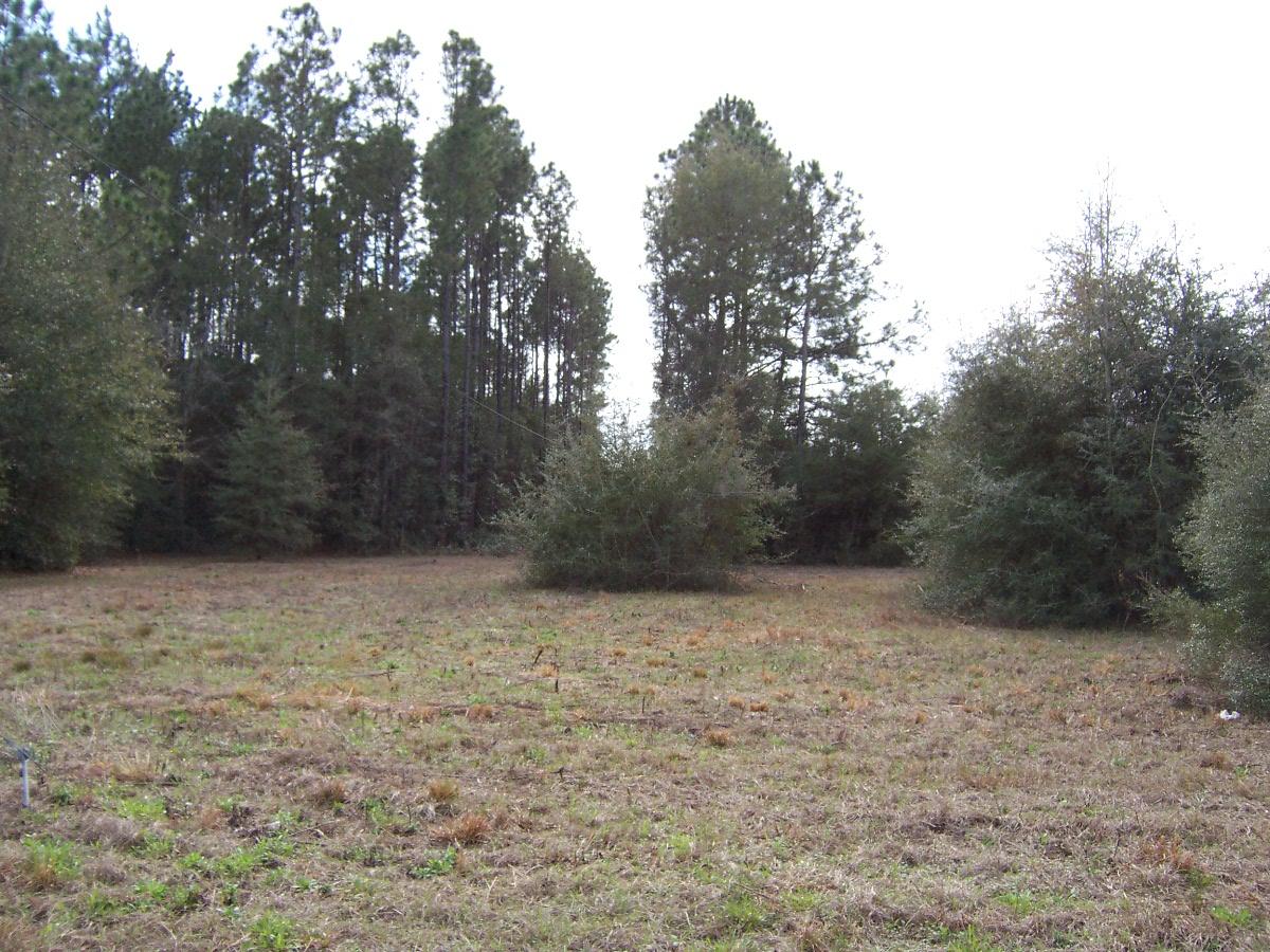 Excellent development opportunity in the city limits. 2 acres of level cleared land with frontage on Watlon Road. Would be the perfect setting for a nice estate home. Gorgeous setting and a great neighborhood. Close to lake Stanley. Only minutes to schools and shopping. Less than an hour to the beach.