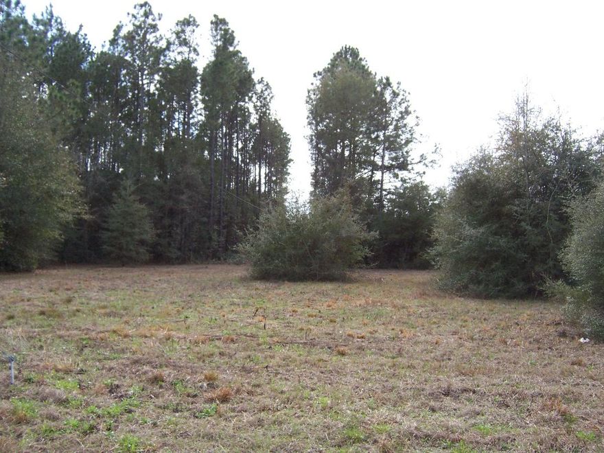 Excellent development opportunity in the city limits. 2 acres of level cleared land with frontage on Watlon Road. Would be the perfect setting for a nice estate home. Gorgeous setting and a great neighborhood. Close to lake Stanley. Only minutes to schools and shopping. Less than an hour to the beach.