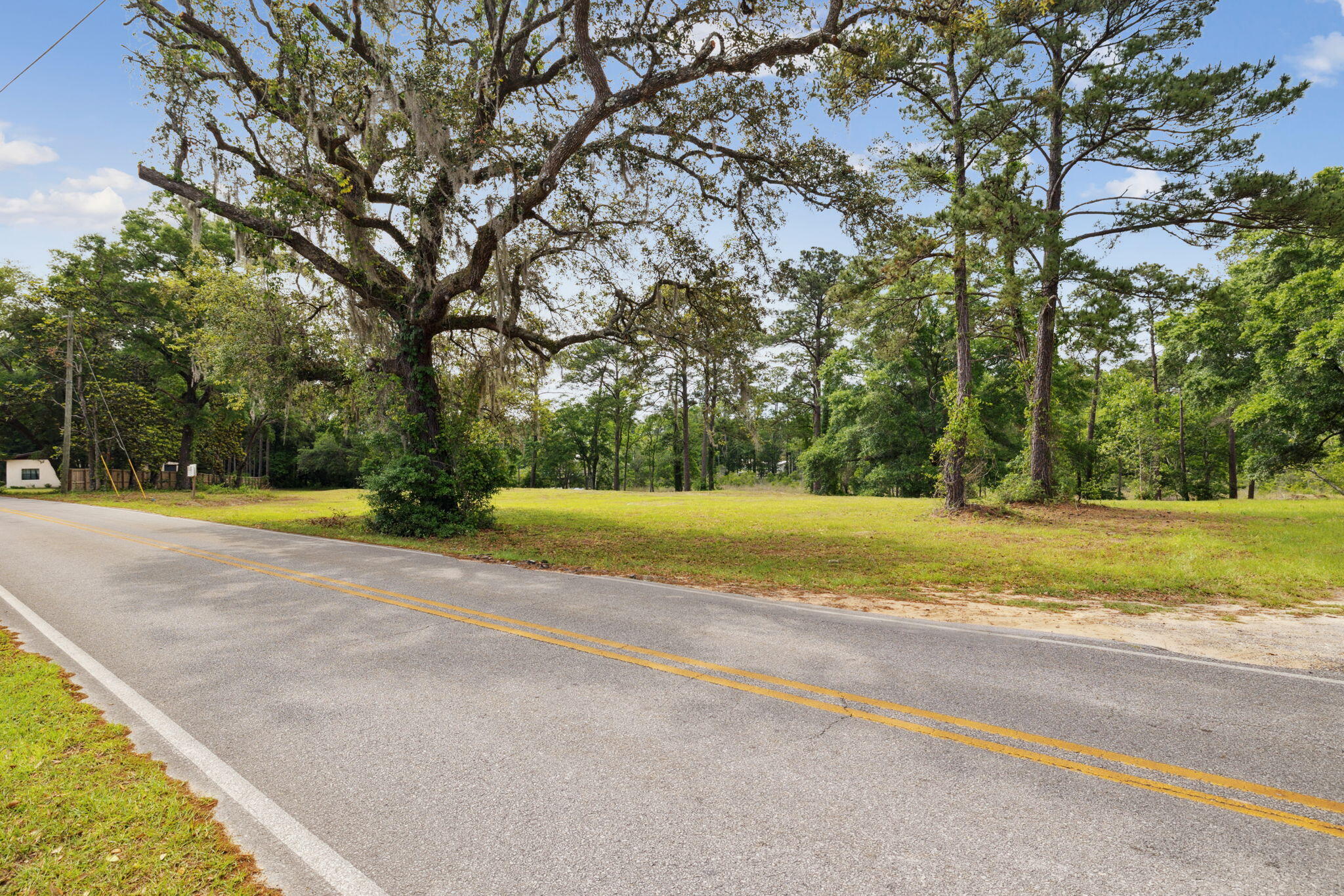 193 Ramsey Branch Rd. Includes both parcels 27-1S-19-23000-027-0025 & 27-1S-19-23000-027-0027 - Land