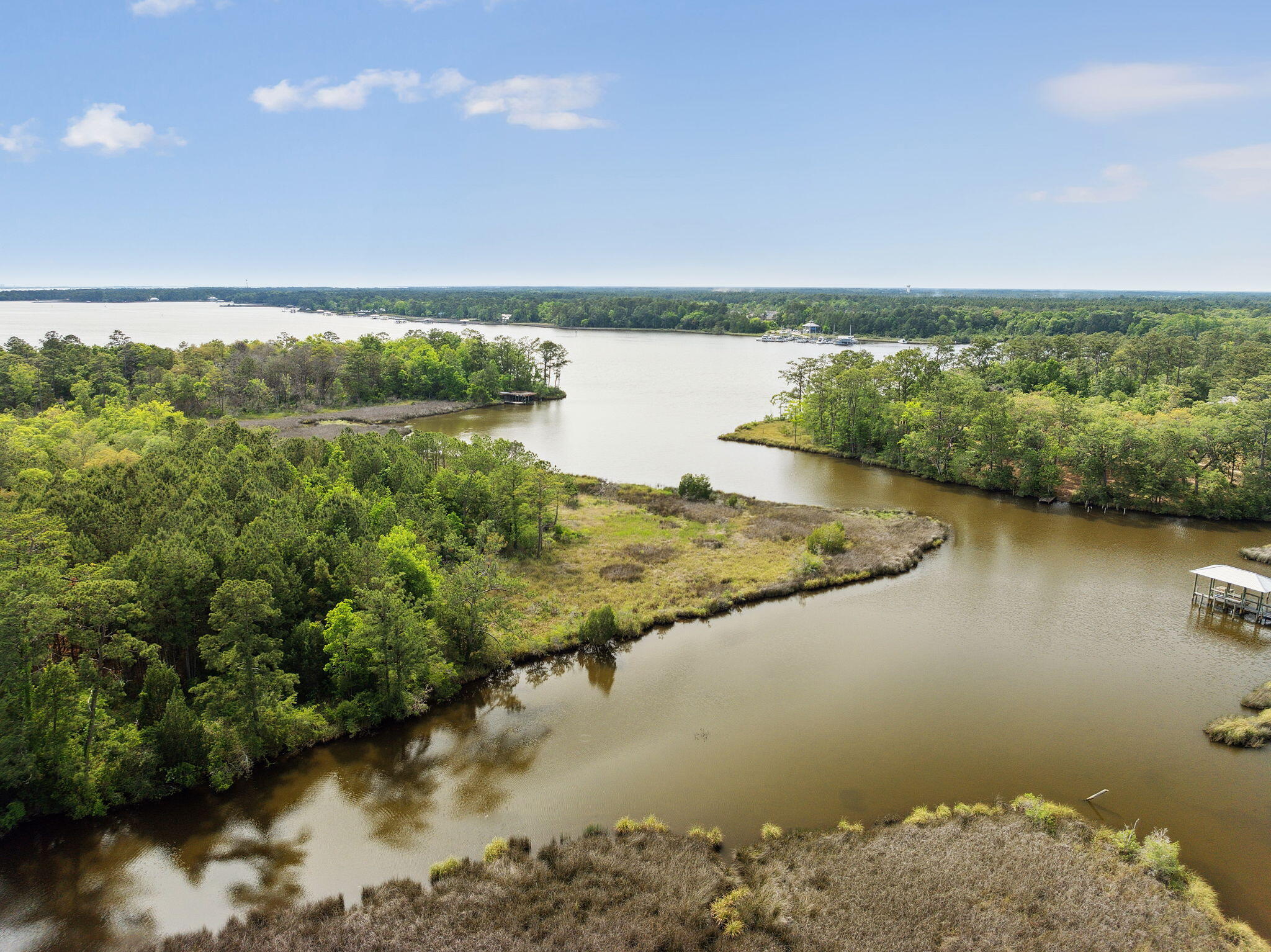 193 Ramsey Branch Rd. Includes both parcels 27-1S-19-23000-027-0025 & 27-1S-19-23000-027-0027 - Land