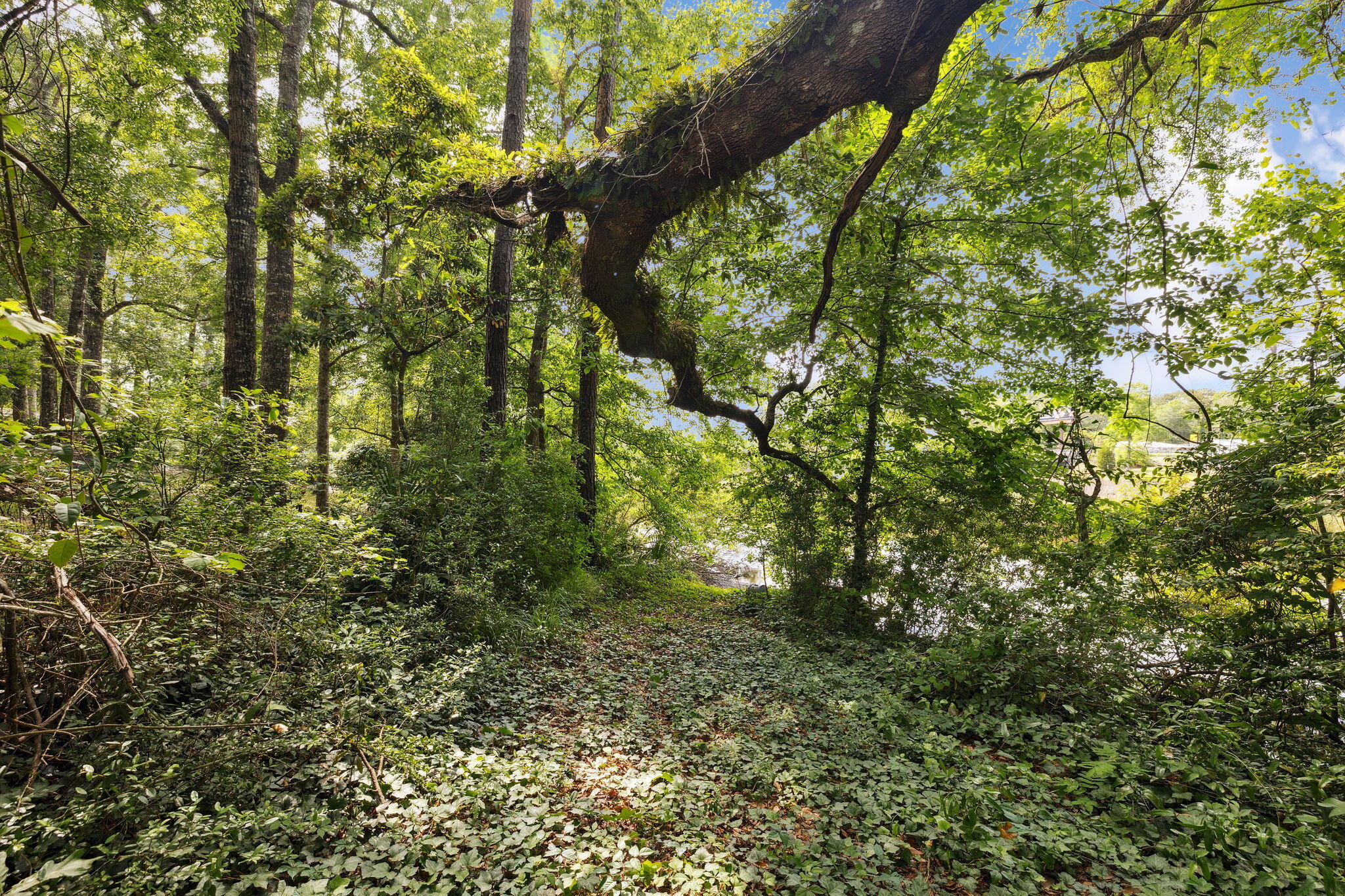 193 Ramsey Branch Rd. Includes both parcels 27-1S-19-23000-027-0025 & 27-1S-19-23000-027-0027 - Land
