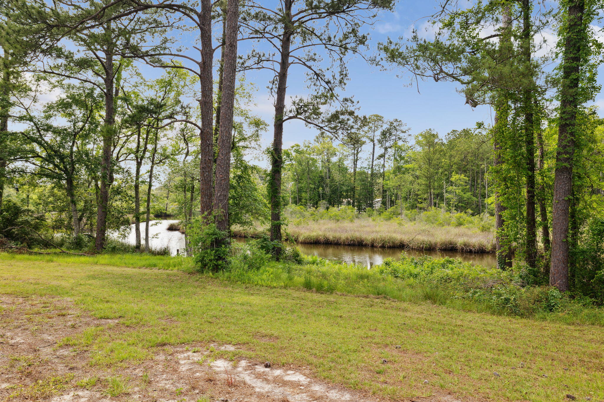 193 Ramsey Branch Rd. Includes both parcels 27-1S-19-23000-027-0025 & 27-1S-19-23000-027-0027 - Land