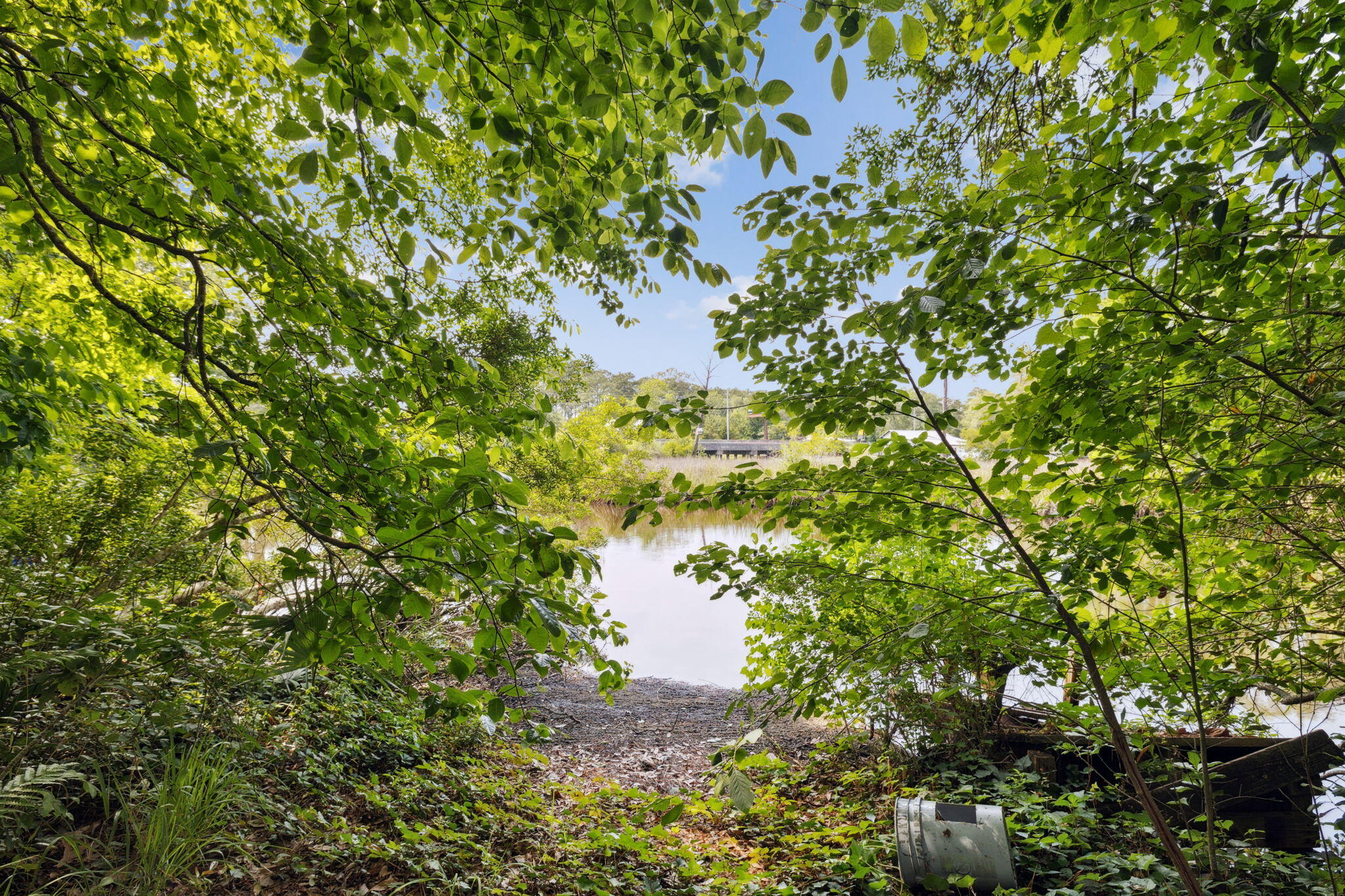 193 Ramsey Branch Rd. Includes both parcels 27-1S-19-23000-027-0025 & 27-1S-19-23000-027-0027 - Land