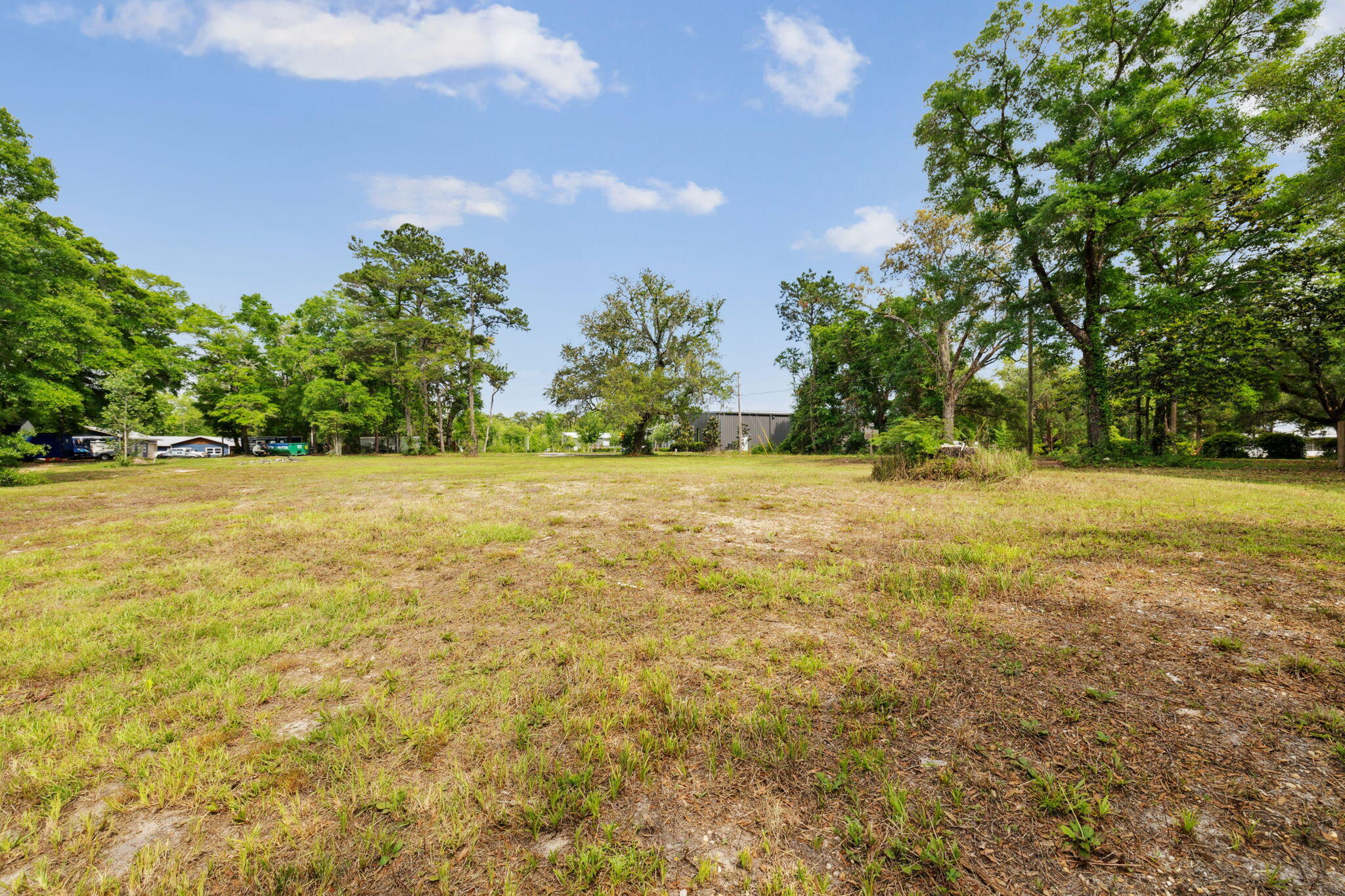 193 Ramsey Branch Rd. Includes both parcels 27-1S-19-23000-027-0025 & 27-1S-19-23000-027-0027 - Land