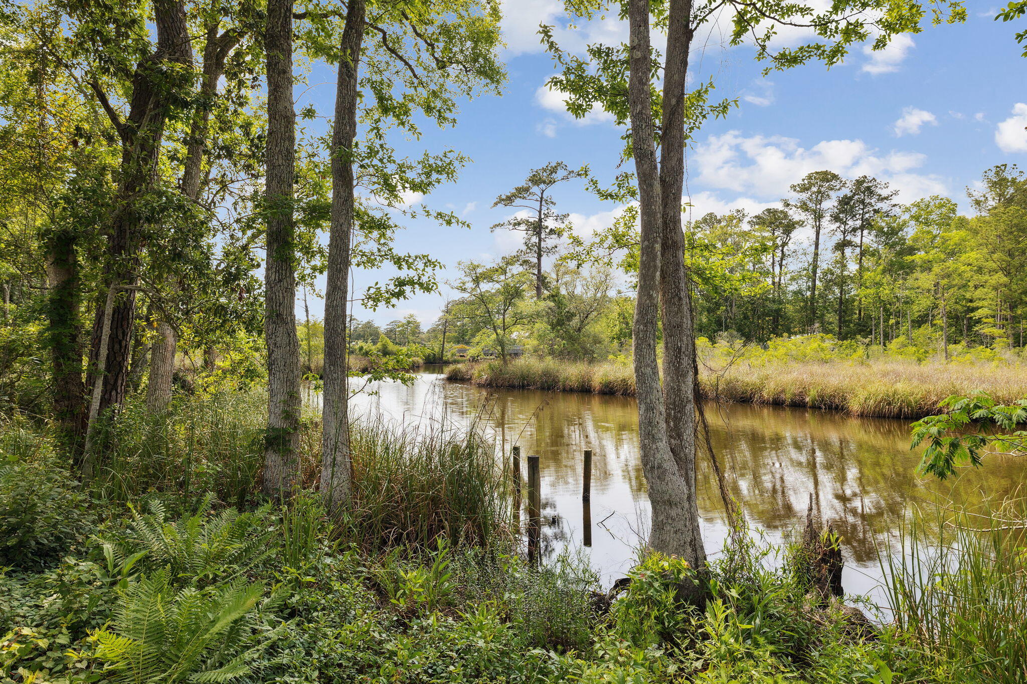 193 Ramsey Branch Rd. Includes both parcels 27-1S-19-23000-027-0025 & 27-1S-19-23000-027-0027 - Land