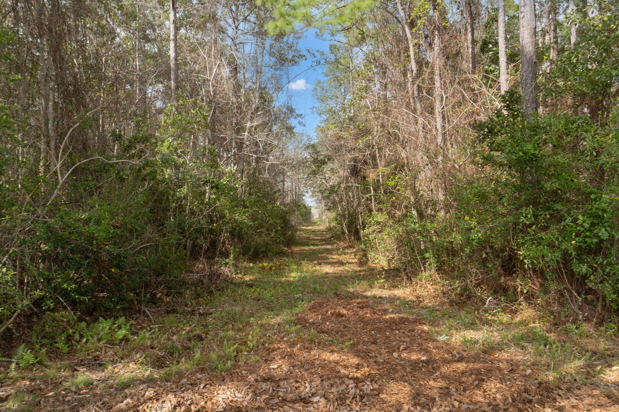 COUNTRY BREEZE ESTATES - Residential