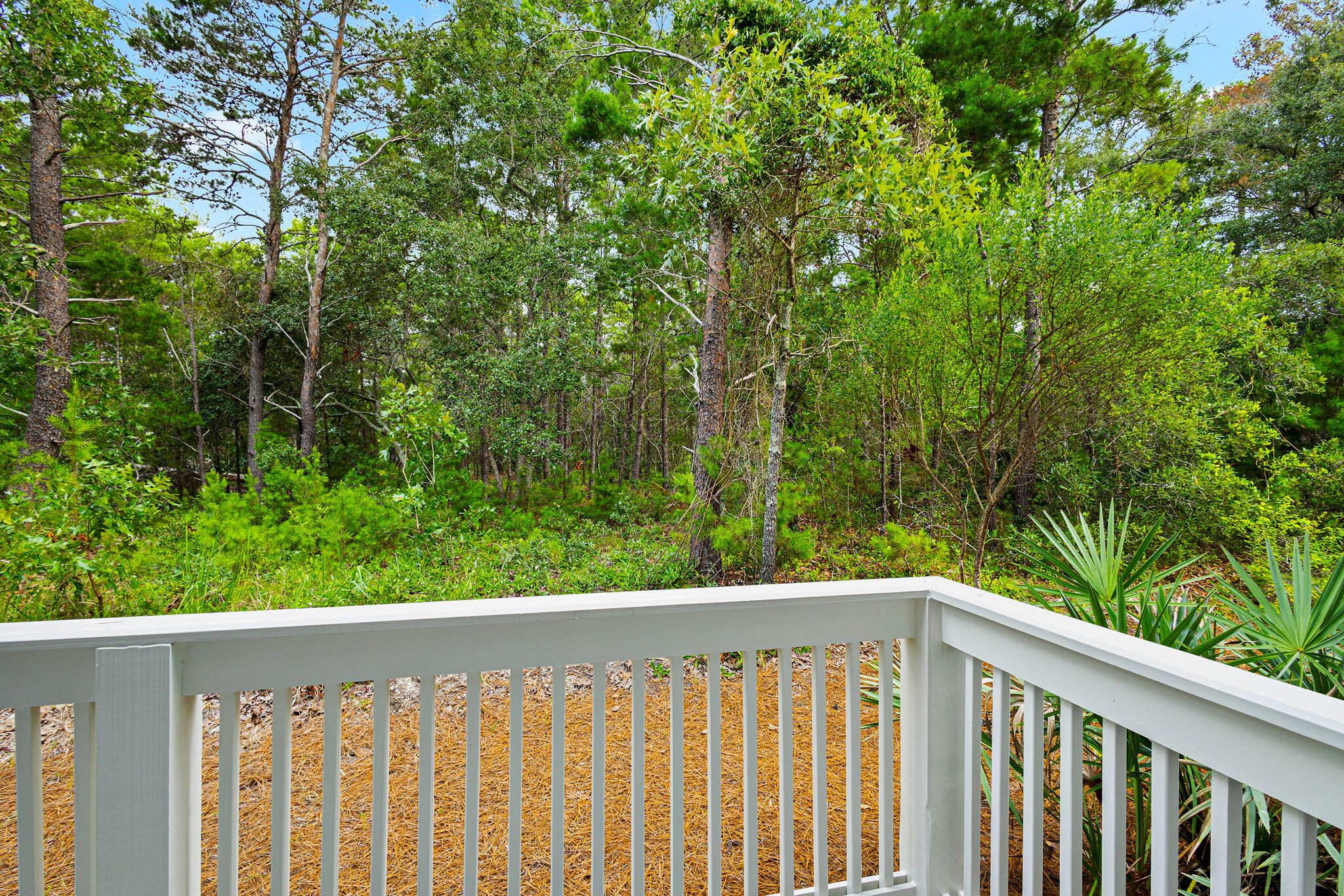 Prominence - Residential