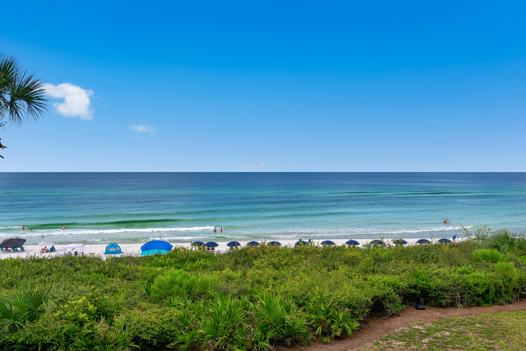 Palms at Seagrove - Residential