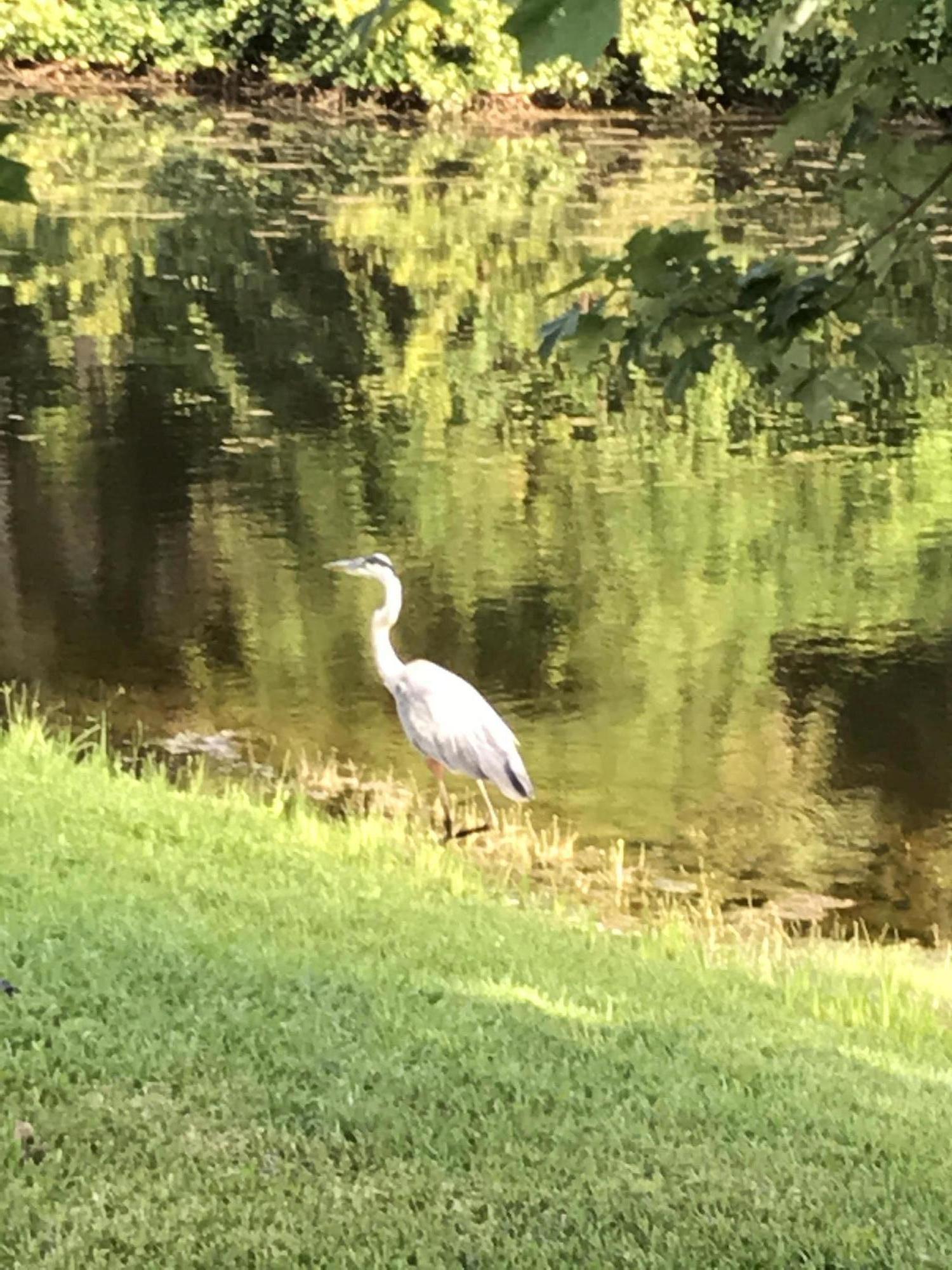 EMERALD LAKES PH 1 - Residential