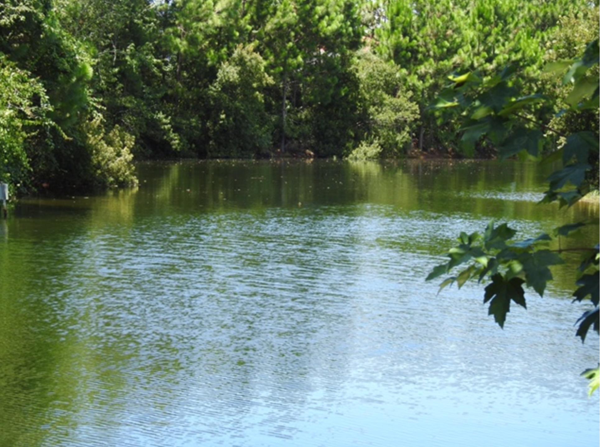 EMERALD LAKES PH 1 - Residential