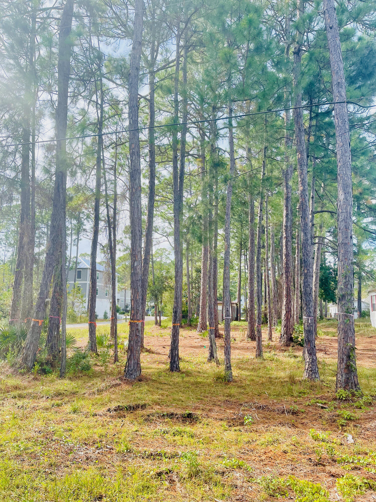 GULF SHORE MANOR - Land