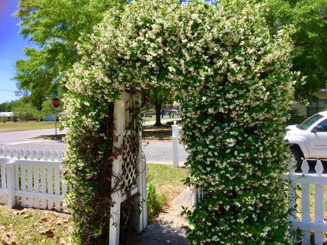 TOWN OF DEFUNIAK SPRINGS - Residential