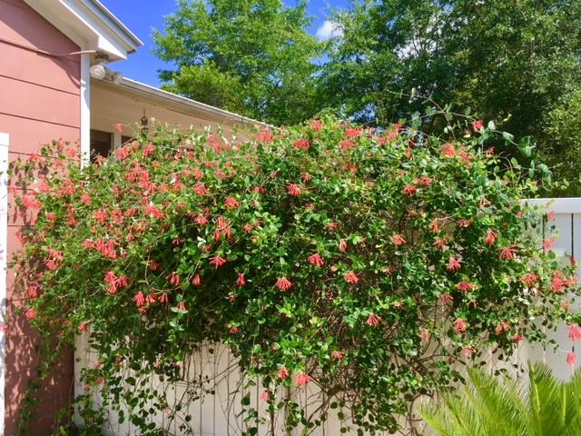 TOWN OF DEFUNIAK SPRINGS - Residential