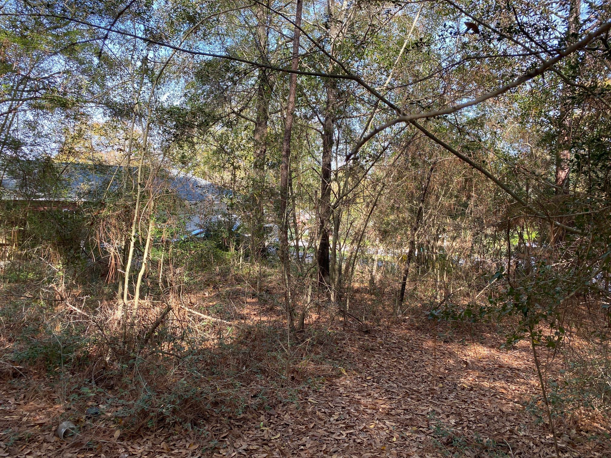 SILVER OAKS PH 1 - Land