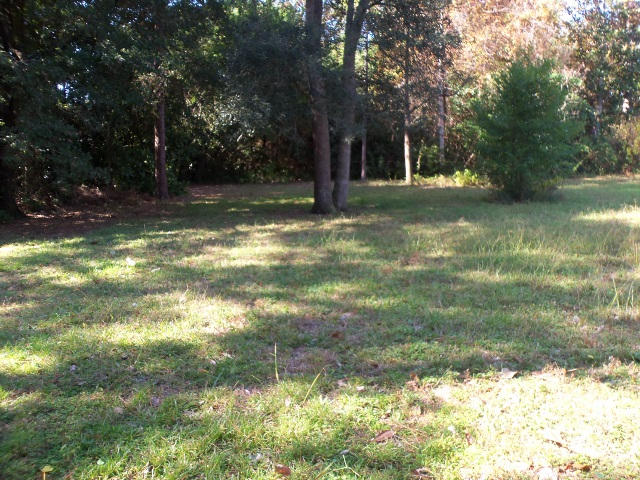 BAYOU POQUITO LOT 9 BLK 1 - Residential