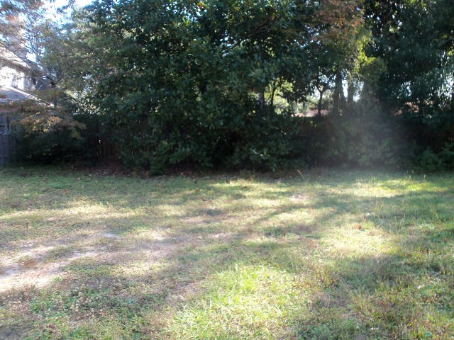 BAYOU POQUITO LOT 9 BLK 1 - Residential