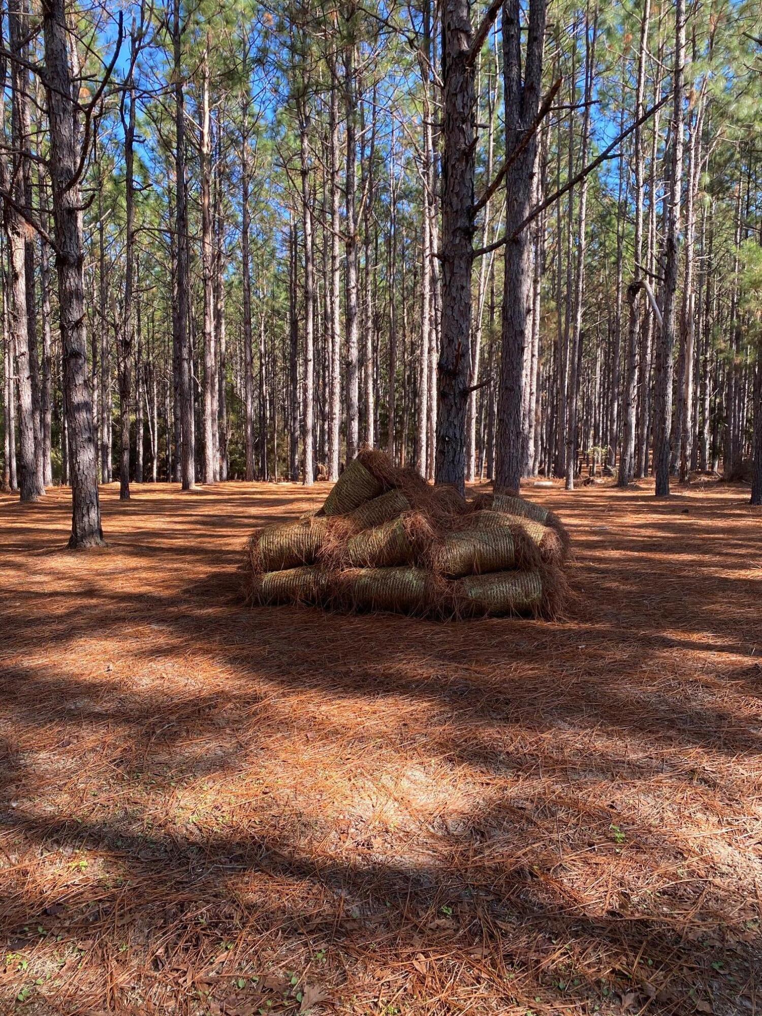 Metes and Bounds - Land