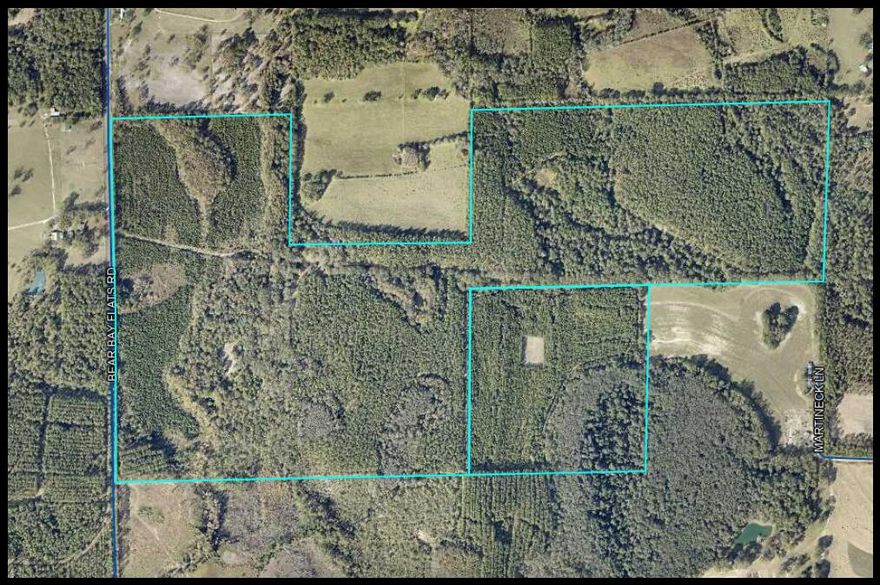 If you are looking for a country estate, recreational land, family compound, or a development opportunity, this is it!  240 Acres just 1.6 Miles South of Paxton and 4.5 miles to Florala, AL.  This property is zoned General Agriculture 1 Unit per 10 Acres, so there is  opportunity to subdivide with 2,600 Feet along paved and county-maintained Bear Bay Flats Road.   Wildlife is abundant with deer, turkey and wild boar.  Excellent Diversity of habitat with approximately 100 acres of established longleaf pines in pine straw production yielding $12,000 net annually to land owner;  40 acres planted pine; 50 acres natural pine regeneration; and the remaining 60 acres in hardwood ridges, bottomland and cypress swamps.  Good road system and infrastructure in-place.  APPOINTMENT REQUIRED TO SHOW