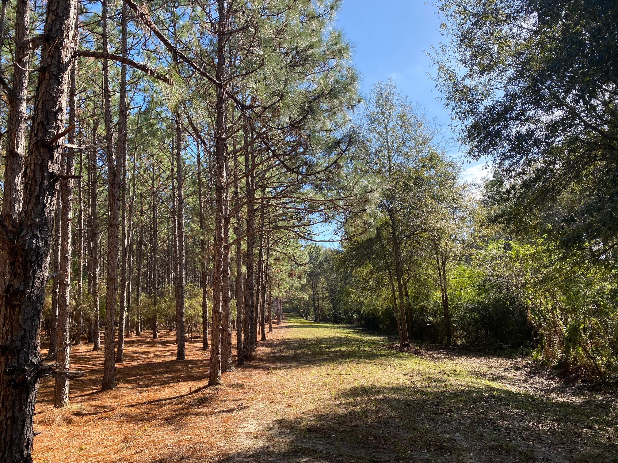 Metes and Bounds - Land