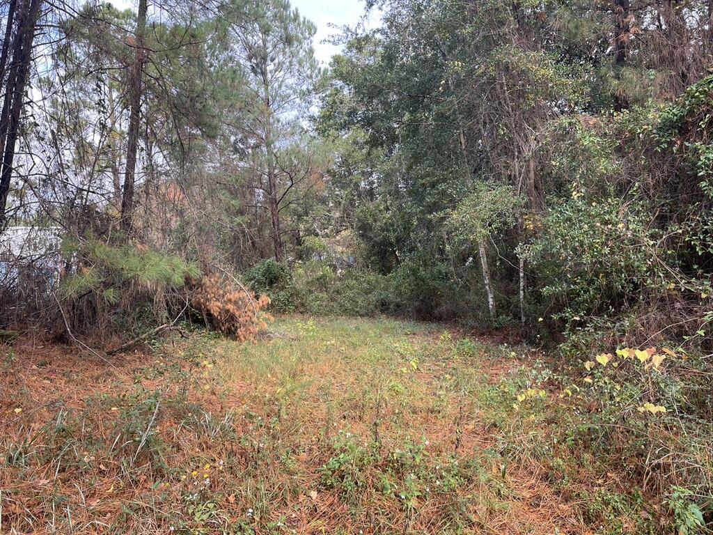 DAUGHETTES AMENDED - Land