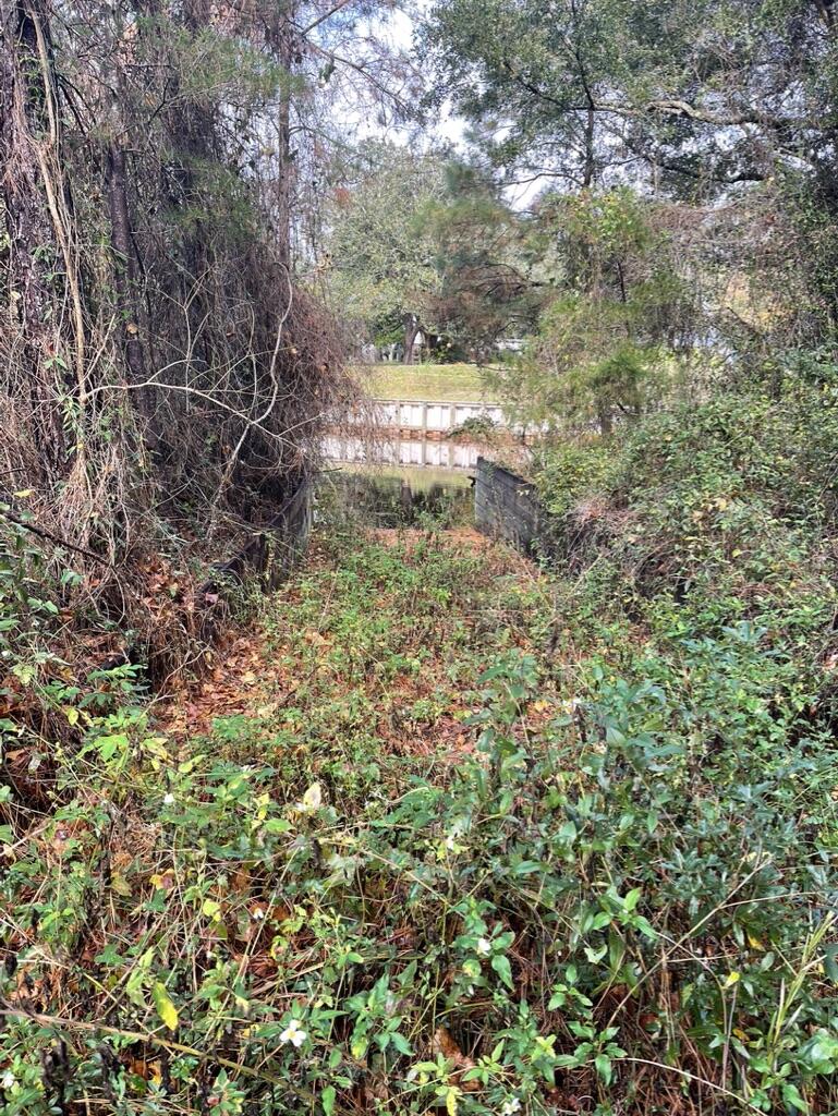 DAUGHETTES AMENDED - Land