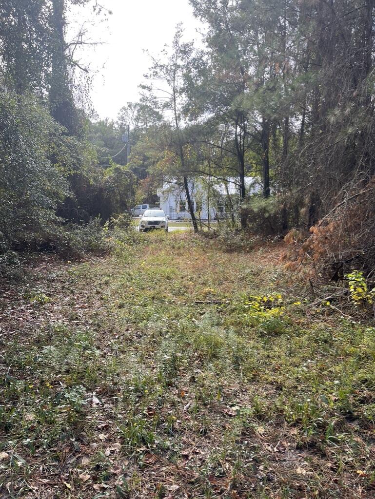 DAUGHETTES AMENDED - Land