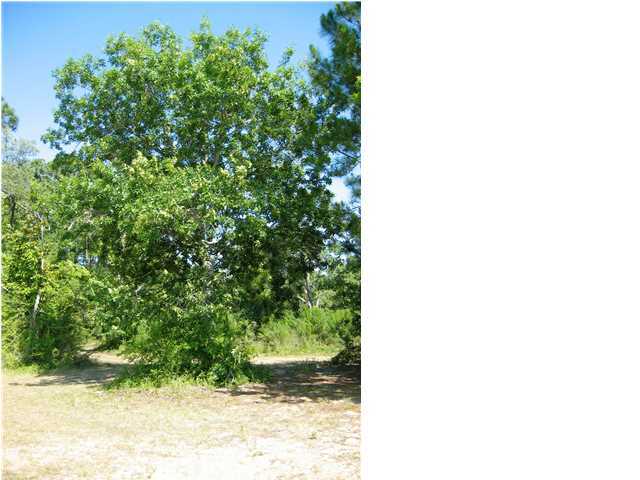 DRIFTWOOD ESTATES - Land