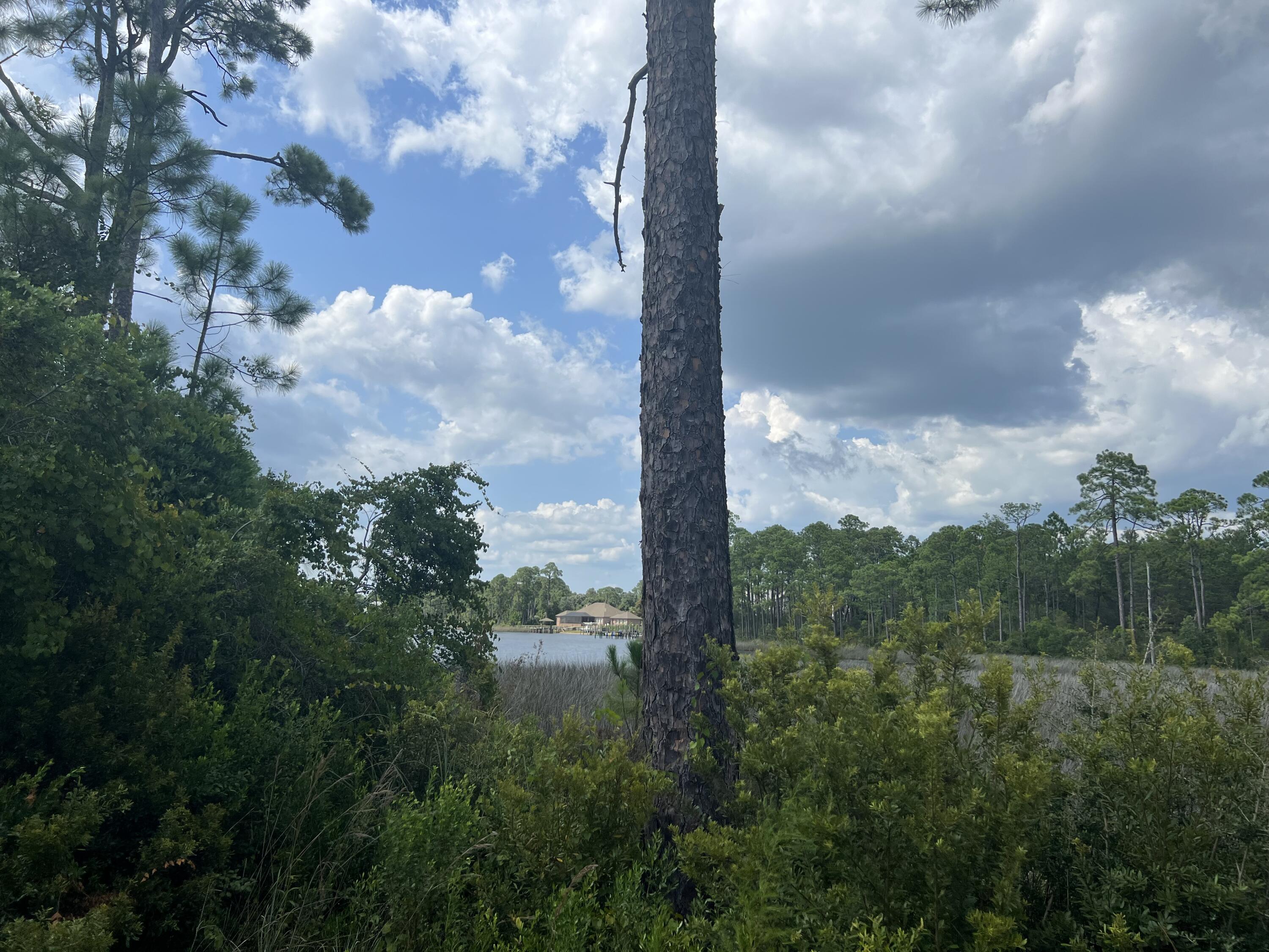 TURTLE COVE - Land