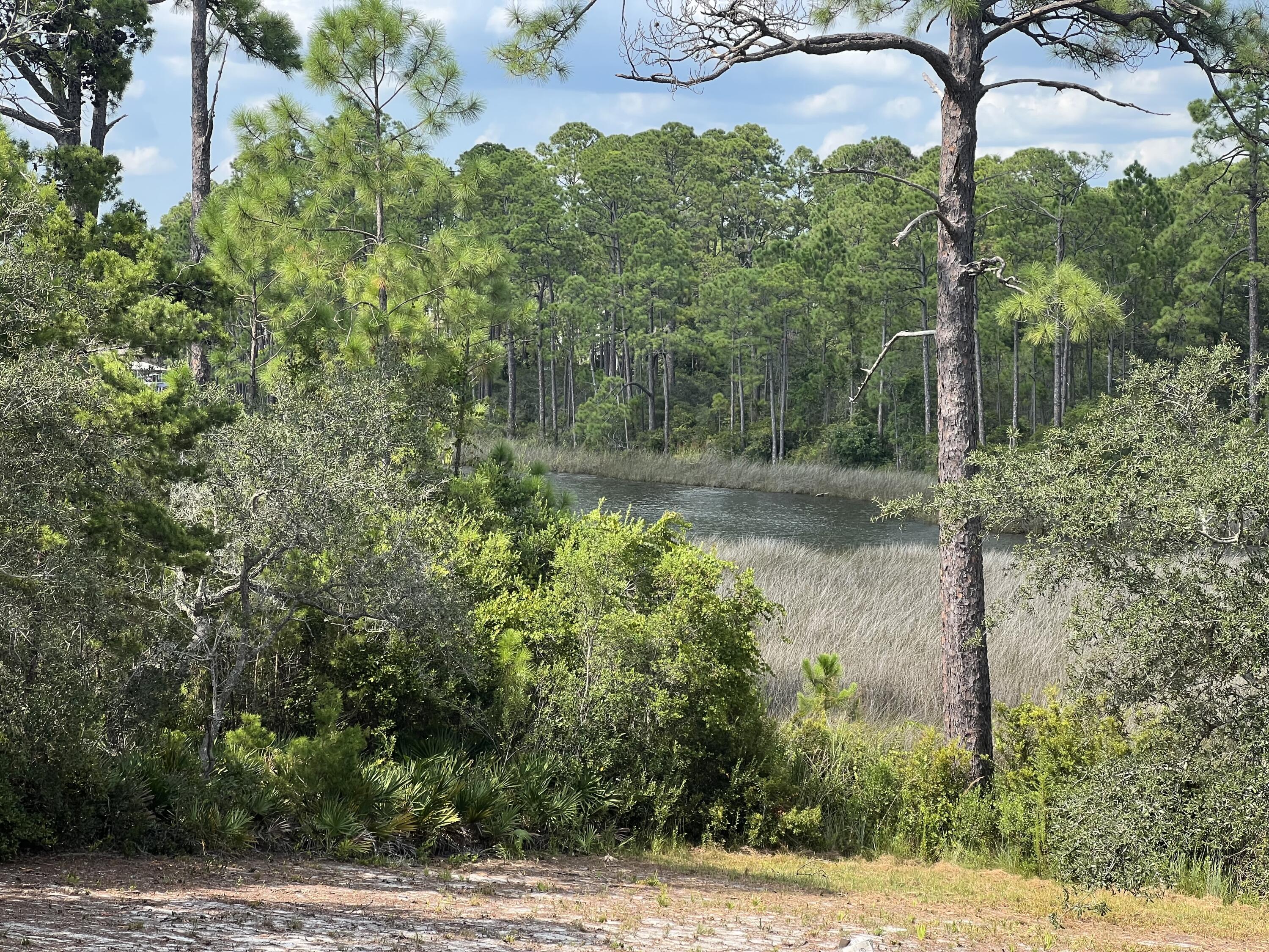 TURTLE COVE - Land