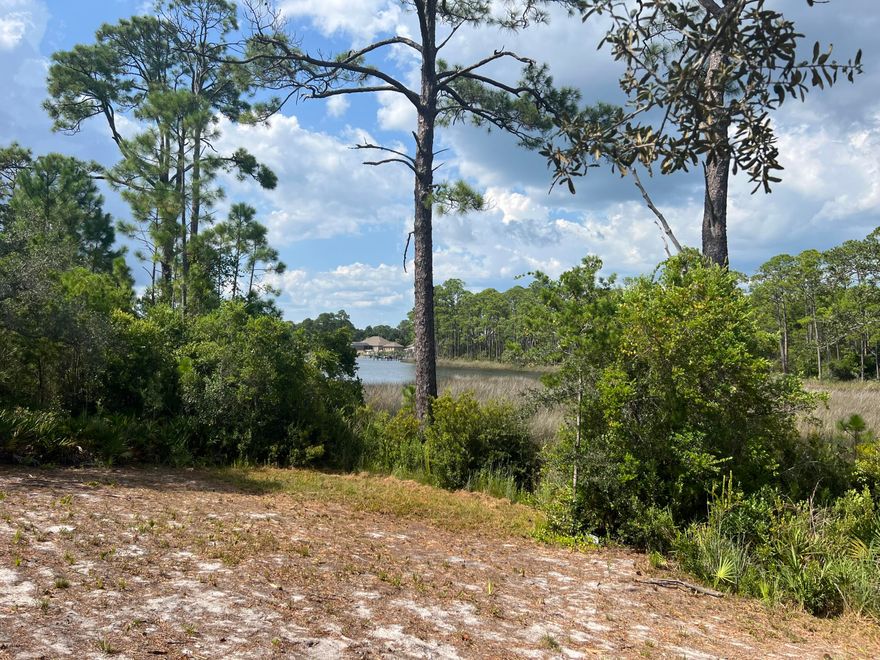 One of the last remaining lakefront lots in sought-after Turtle Cove, this property is an absolute treasure! An exceptional opportunity to create your ideal home along Lake Powell's scenic shoreline. Experience serene waterfront living with access to Florida's largest coastal dune lake - a matchless encounter offering activities like kayaking, paddle-boarding, hiking, fishing, and more. Private docks are now allowed! Motor boats and jet skis are allowed and such easy access to the lake is rare due to limited lakefront lot availability. Enjoy Turtle Cove's exclusive amenities including tennis courts and a waterfront clubhouse with a gym, pool, community room, and picnic area with BBQ Pit/Grill. Build your dream home in this coveted location where nature, leisure, and beauty thrive.