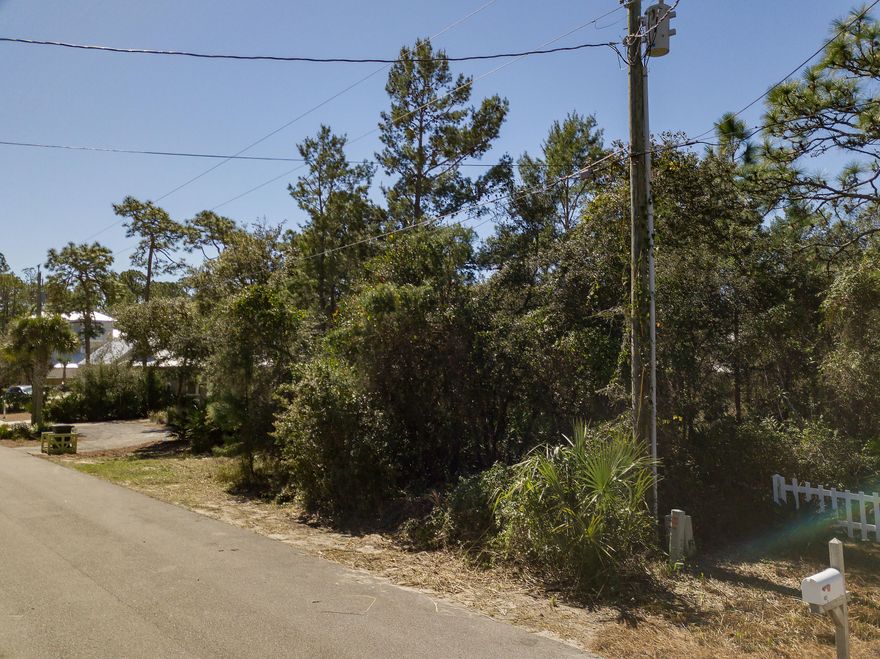 Amazing opportunity to build your dream home on the East End of 30A! INCREDIBLE LOT VALUE ON 30A ~ NO RENTAL RESTRICTIONS ~ SHORT WALK TO BEACH ACCESS LOCATED DIRECTLY AT END OF STREET ~ PRIME LOCATION WITH NUMEROUS MULTI-MILLION DOLLAR HOMES ~ NO HOA'S! Endless opportunities Abound with this large 70 x 142 lot! One of only a few remaining lots on this Exclusive street. This Lot is currently THE Lowest Priced & Closest to The Beach on Seacrest Drive!! Short Bike ride to Alys Beach, Seacrest Beach & Rosemary Beach! Plenty of room to build your Dream Home with Detached Garage and Carriage House...PLUS Pool!!